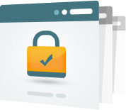 Organization Validation SSL Certificate